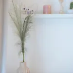 Providenca * 斯普利特